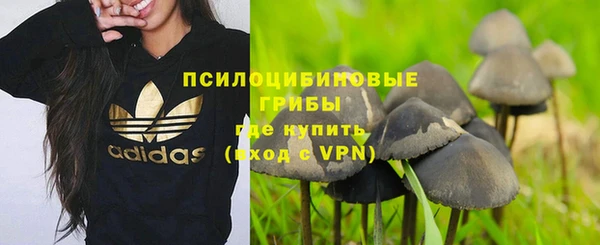 ПСИЛОЦИБИНОВЫЕ ГРИБЫ Алексин