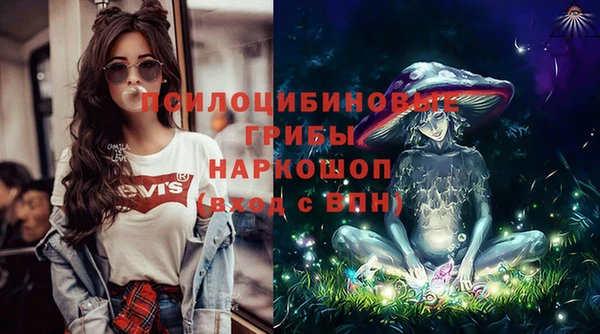 дурь Алзамай