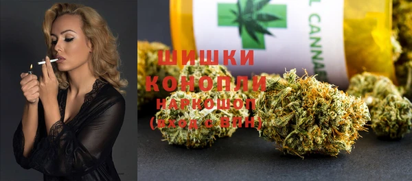 ПСИЛОЦИБИНОВЫЕ ГРИБЫ Алексин